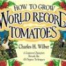 HOW TO GROW WORLD RECORD TOMATOES
