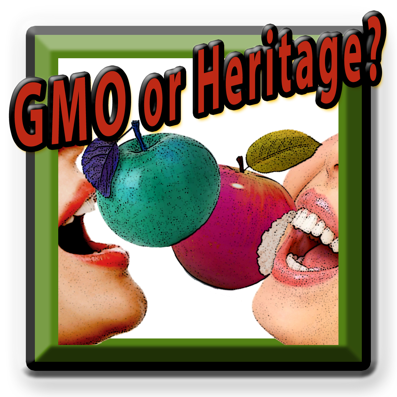 GMO Apples or Heritage Apples? Food Chain Radio with host Michael Olson and guest Farmer & Organic Pioneer, Amigo Bob Cantisano
