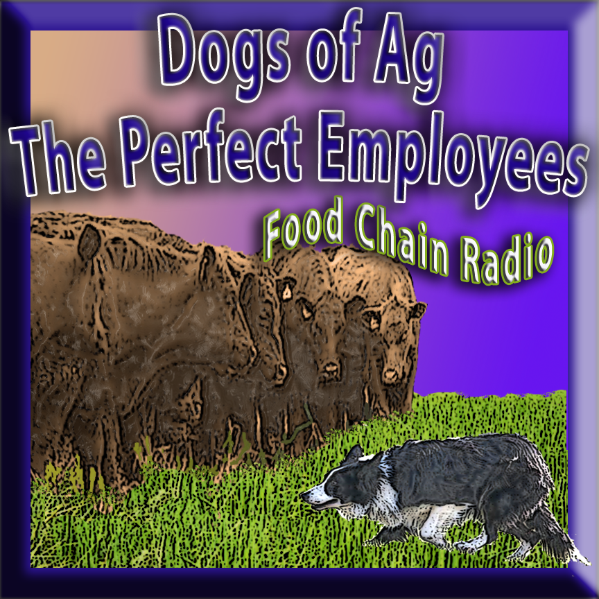 Michael Olson Food Chain Radio: Agriculture Herd Dogs