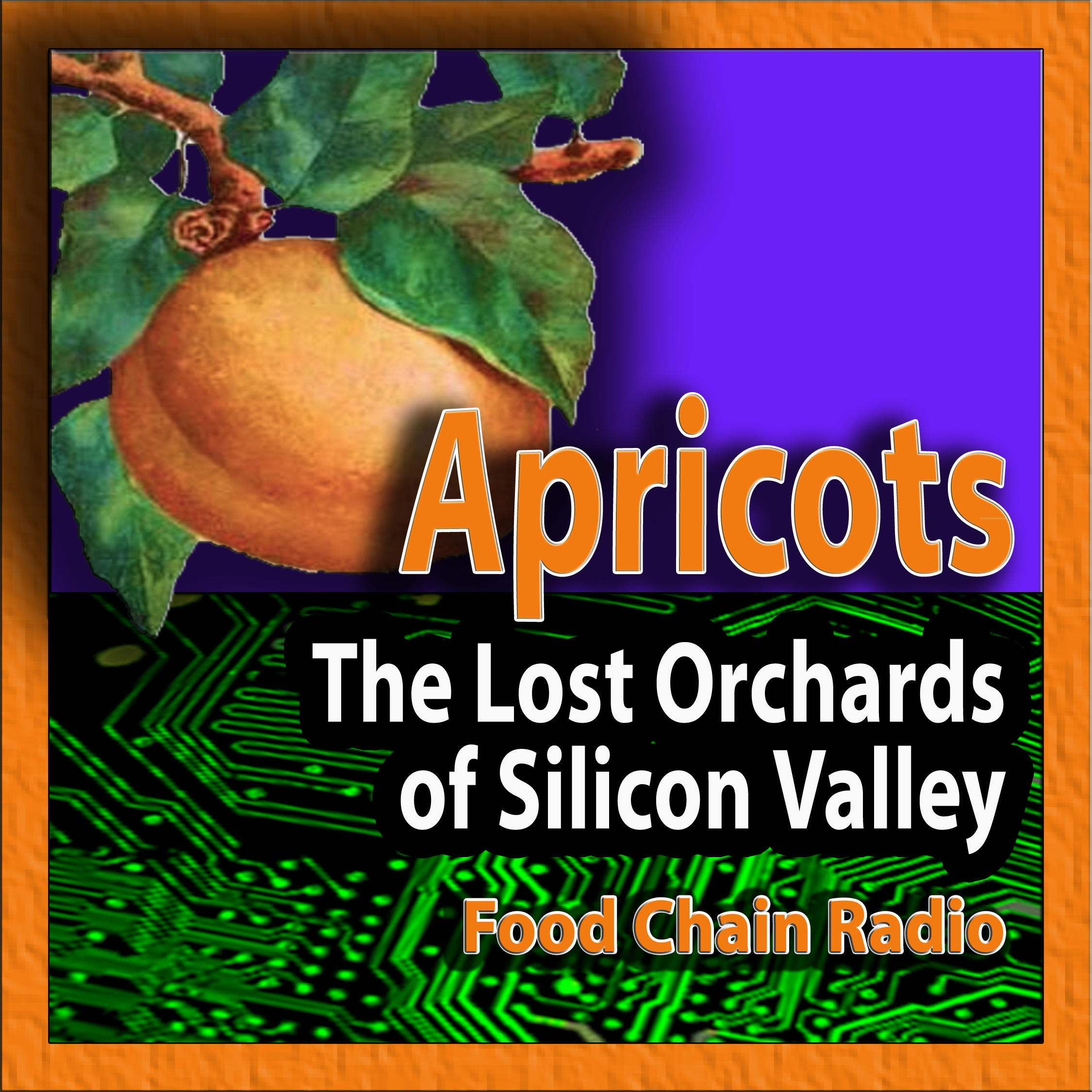 Michael Olson Food Chain Radio: From Apricots to Apple Inc