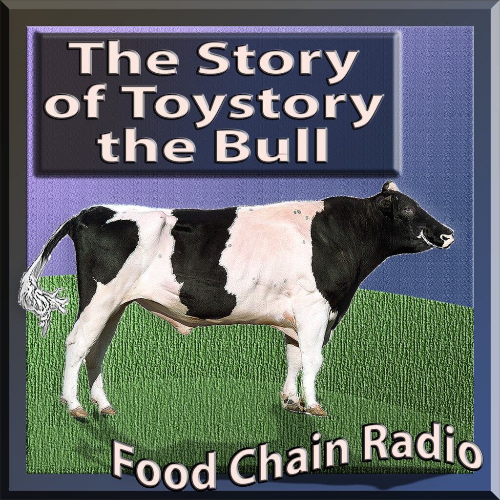 Michael Olson Food Chain Radio: Toystory the Bull