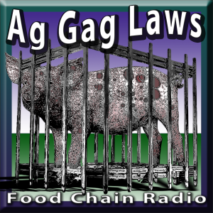 Michael Olson Food Chain Radio – Ag Gag Laws Food – Should public web cameras be installed in animal processing facilities?