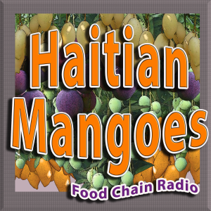 Michael Olson Food Chain Radio: Haitian Mangoes – Guests Matt Rogers of Whole Foods, John Musser of Tropic Trade, Hannah Freeman of Fair Trade USA