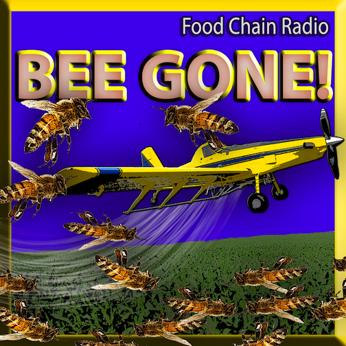 Michael Olson Food Chain Radio: Bee Colony Collapse