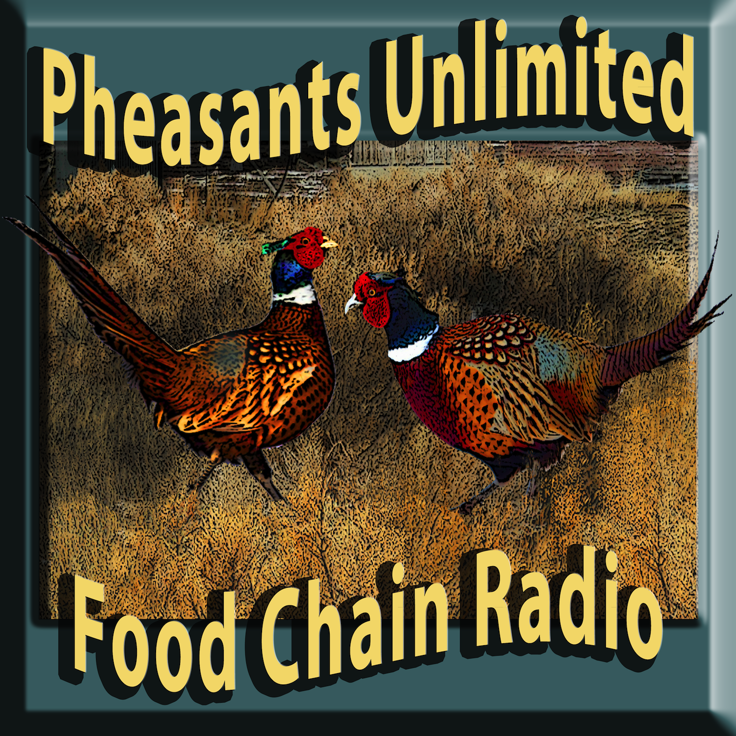 Michael Olson Food Chain Radio – Wildlife Management – Hunting Them to Save Them