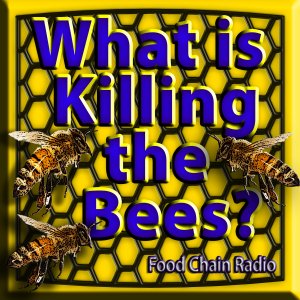 Michael Olson Food Chain Radio - What is killing the bees?