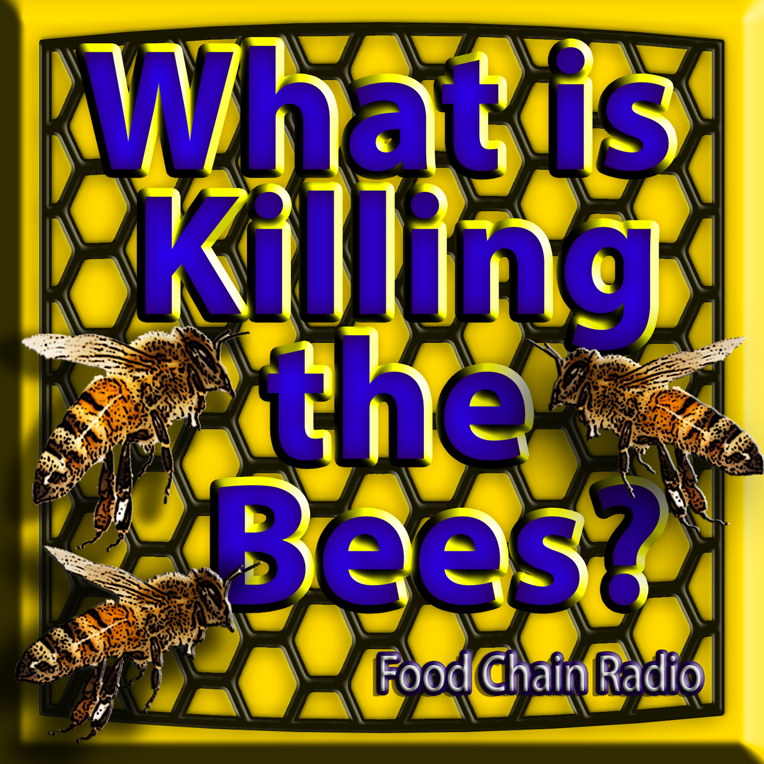 Michael Olson Food Chain Radio – Protecting the Pollinators Can we grow food with bees and pesticides?