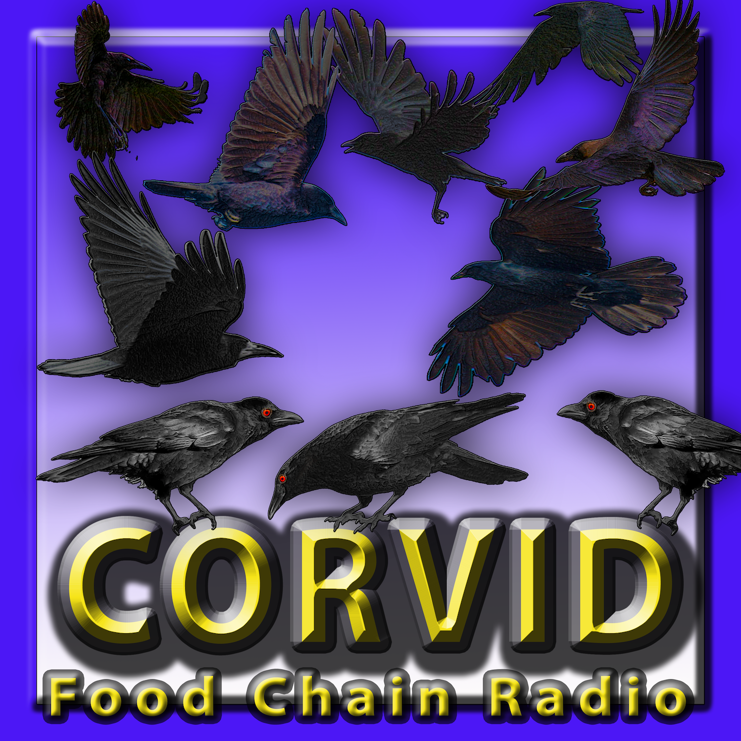 Michael Olson Food Chain Radio – Corvid