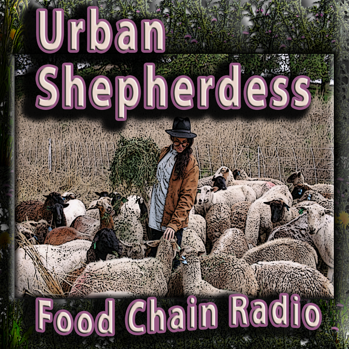 Michael Olson Food Chain Radio – Which can best win the war on weeds: animals, chemicals or people?