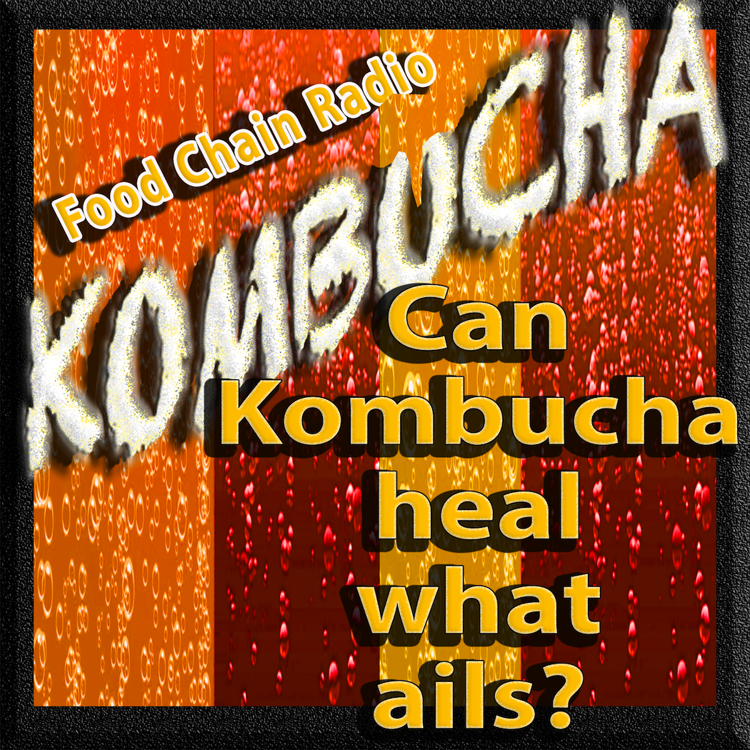 Michael Olson Food Chain Radio - Can Kombucha cure what ails?