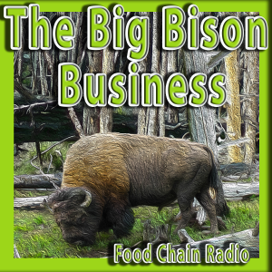 Michael Olson Food Chain Radio – Big Bison Business