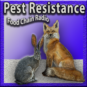 Michael Olson Food Chain Radio – Which do you think is the best way to resist threats: diversity or uniformity?