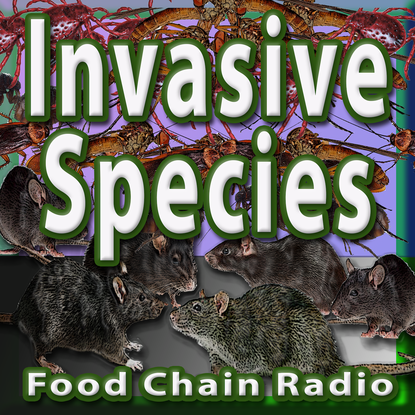 Michael Olson Food Chain Radio – Should invasive species be eliminated or allowed to grow?