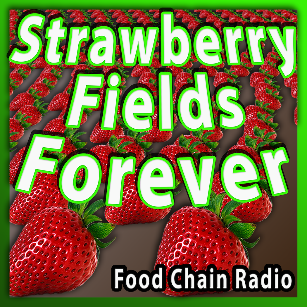 Michael Olson Food Chain Radio – Strawberries and Pesticides