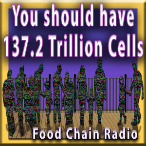 Michael Olson Food Chain Radio – Cellular Health – Do you have 137.2 trillion healthy cells?