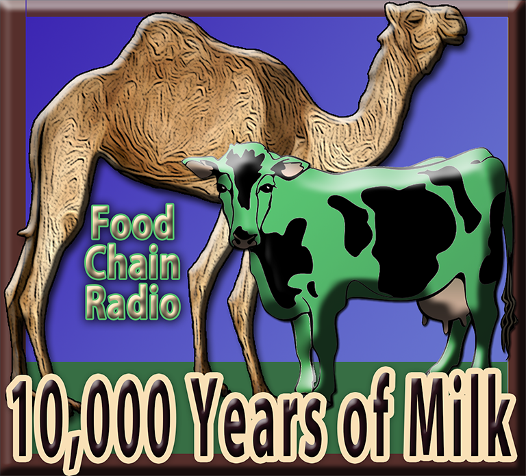 Michael Olson Food Chain Radio – 10,000 Years of Milk