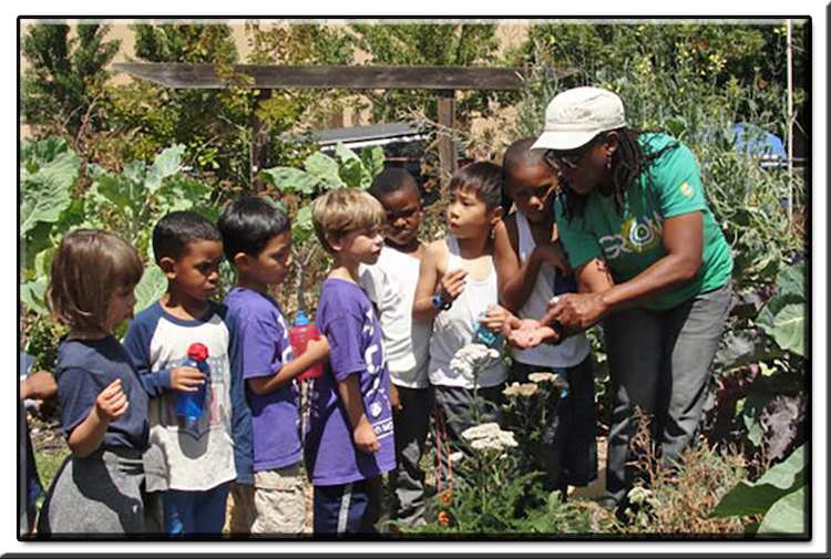 Dr. Gail Myers – Doctorate in Anthropology Ohio State University She organized the first statewide conference for African-American farmers in Ohio – Sustaining Communities: Ohio’s Black Farmers at the Crossroads. Dr. Myers organized the 19th California Small Farm Conference in Ventura; founded Farms to Grow, Inc.; and in partnership with farmers, business owners, and community vendors founded the Freedom Farmers Market to West Oakland. Michael Olson Food Chain Radio – Saturdays 9-10AM.