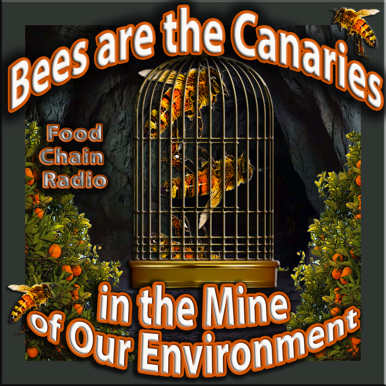 Michael Olson Food Chain Radio - Bees are the Canaries in the Mine of Our Environment.