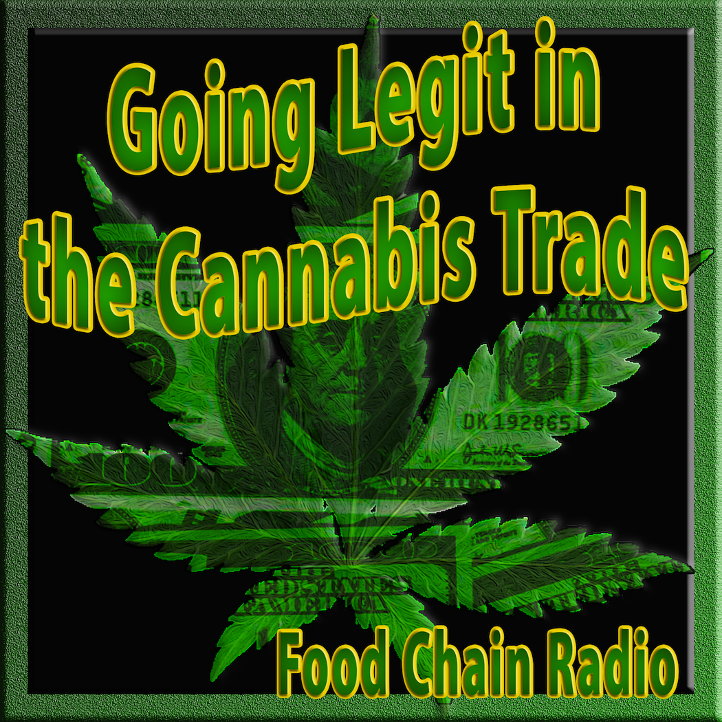 Michael Olson Food Chain Radio – Going Legit In the Cannabis Business