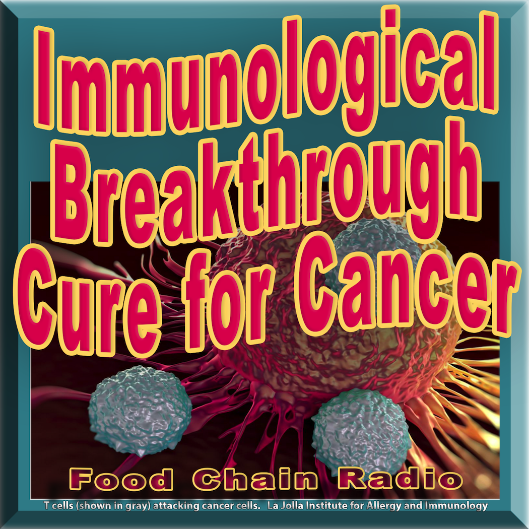 Michael Olson Food Chain Radio – Can our bodies be made to be the cure for cancer? Guest: Charles Graeber, Author, The Breakthrough: Immunology and The Race To Cure Cancer
