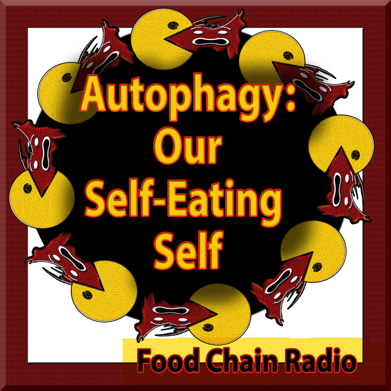 Michael Olson Food Chain Radio – Autophagy: Our Self-Eating Self! How does our body renew itself by eating itself?