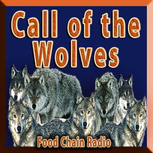 Michael Olson Food Chain Radio – Call of the Wolves