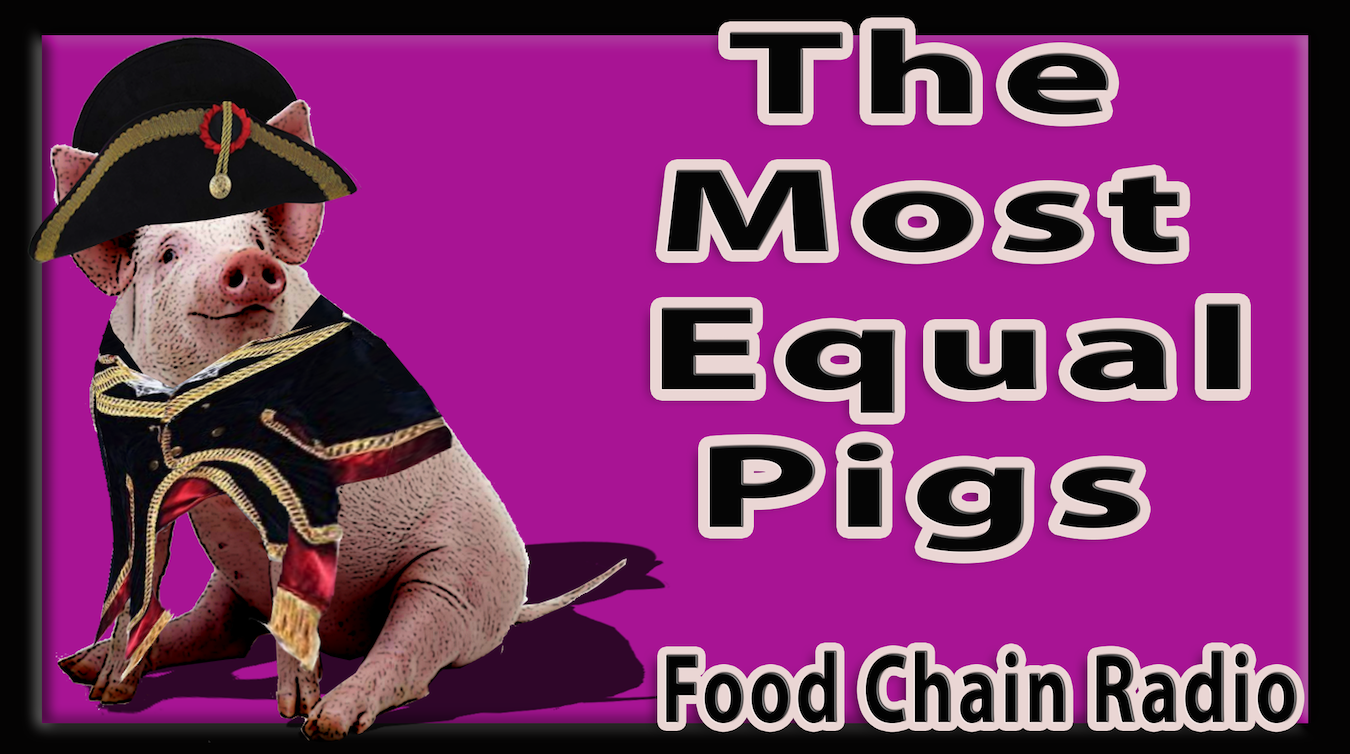 Michael Olson Food Chain Radio – The Most Equal Pigs – Grassfed Pasture Pigs