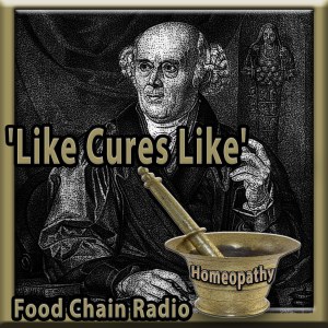 Michael Olson Food Chain Radio – Homeopathy became effective in the hands of skilled practitioners.