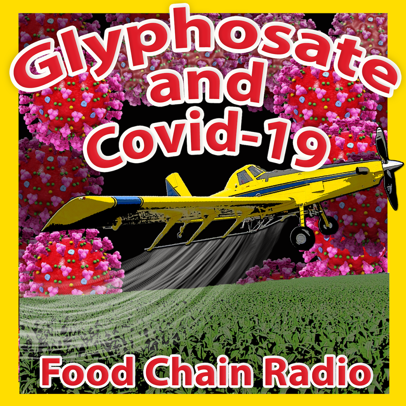 Michael Olson Food Chain Radio – Is there a connection between glyphosate and the Covid-19 coronavirus?