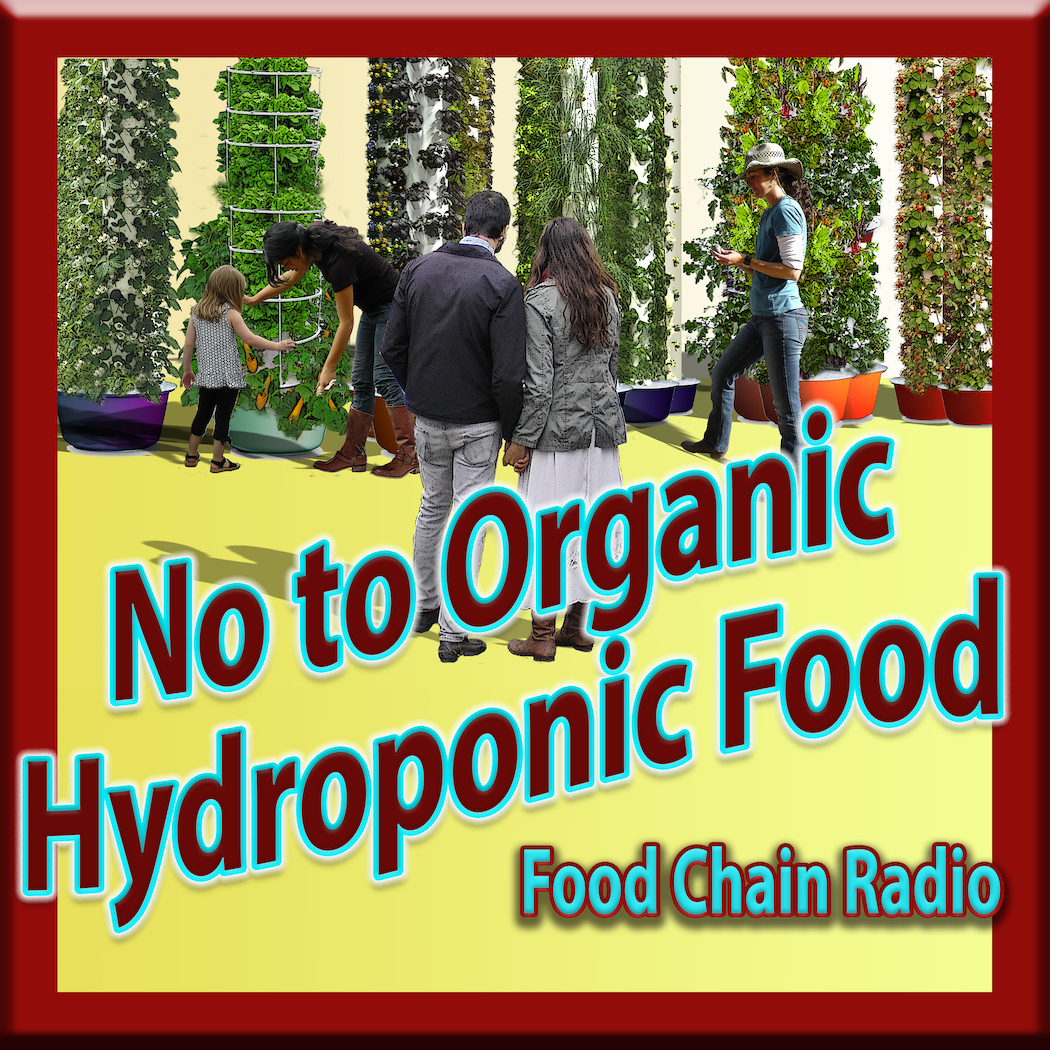 Michael Olson Food Chain Radio – Organic Hydroponic Food –Should organic food be grown in fertile soil?