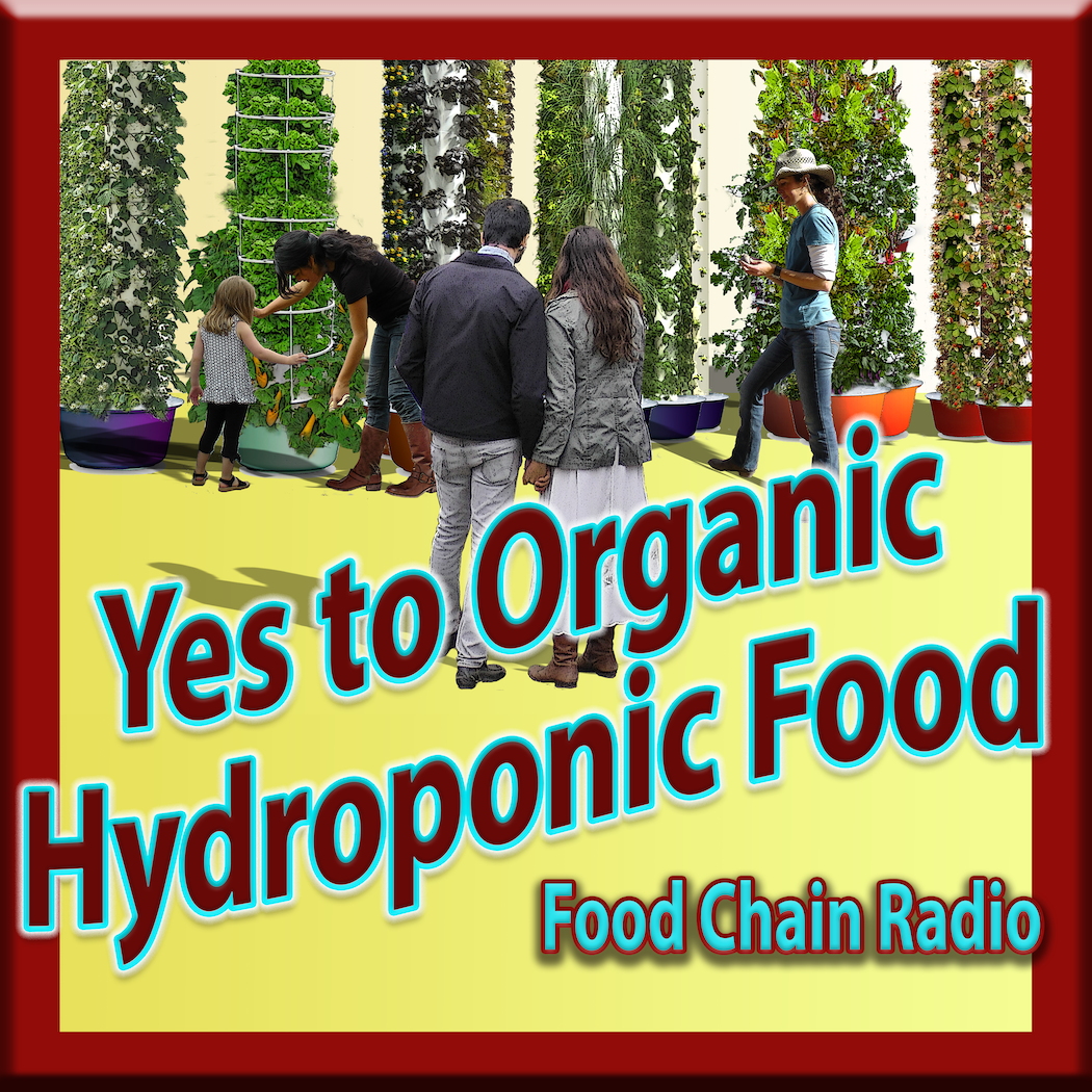 Michael Olson Food Chain Radio – Organic Hydroponic Food –Should organic food be grown in fertile soil?
