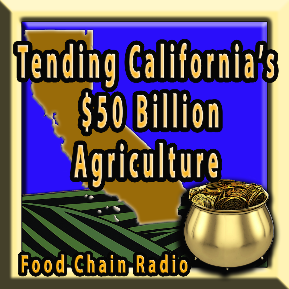 Michael Olson Food Chain Radio – Tending California's $50 Billion Agriculture