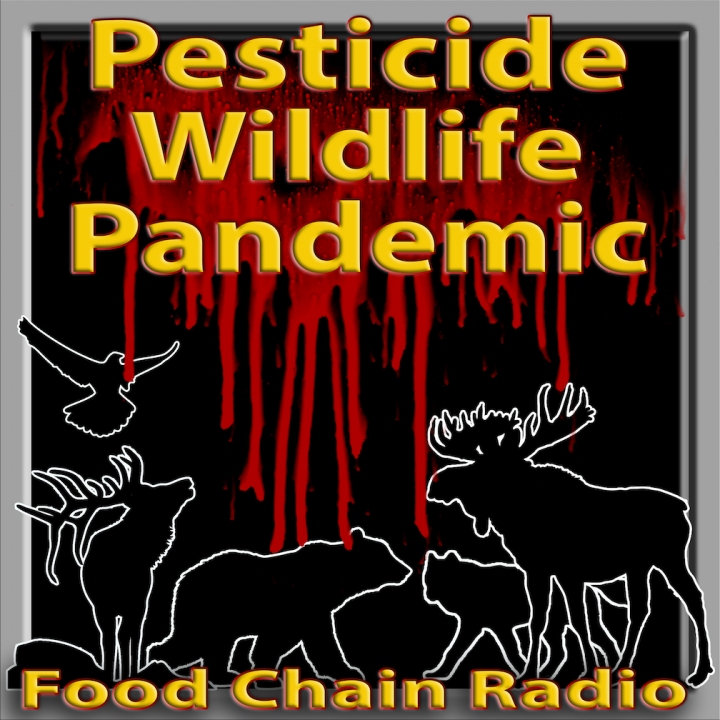 Michael Olson Food Chain Radio – The Quiet Pandemic of Wildlife Pesticide Devastation