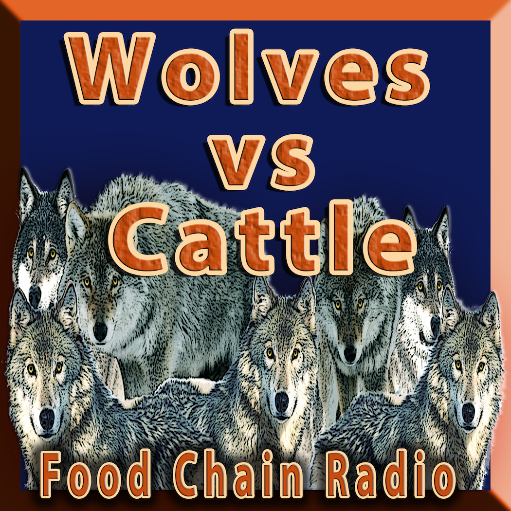 Michael Olson Food Chain Radio – Wolves vs Cattle – Who should pay for the animals that have been eaten by animals?