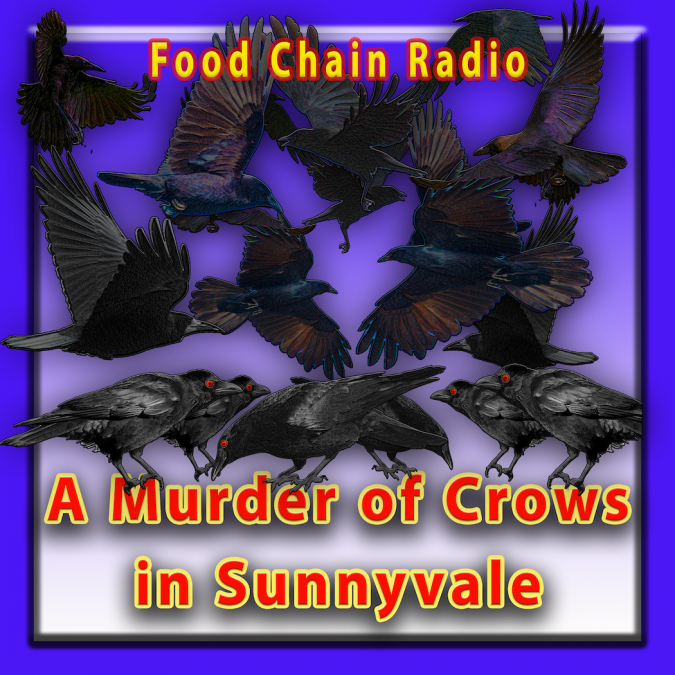 Michael Olson Food Chain Media – A Murder of Crows Invades Sunnyvale