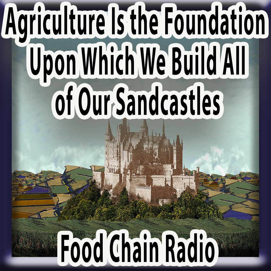 Michael Olson Food Chain Radio - Agriculture Is the Foundation Upon Which We Build All Our Sandcastles