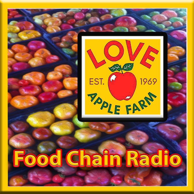 Michael Olson Food Chain Radio Guest: Cynthia Sandberg, Farmer, Entrepreneur & Teacher, Love Apple Farm – Have you grown a perfect tomato?