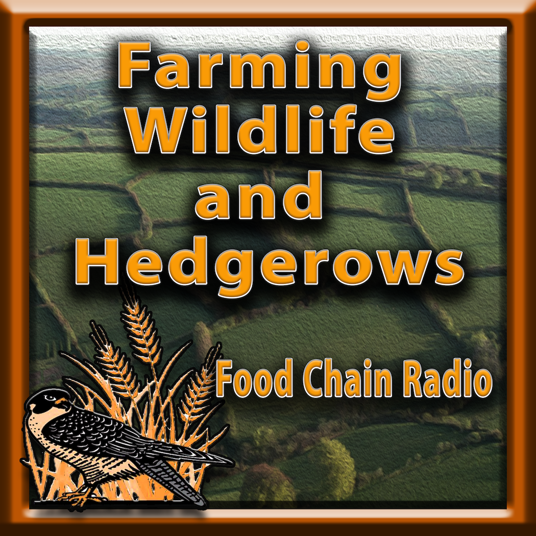Michael Olson Food Chain Radio – Farming Wildlife and Hedgerows