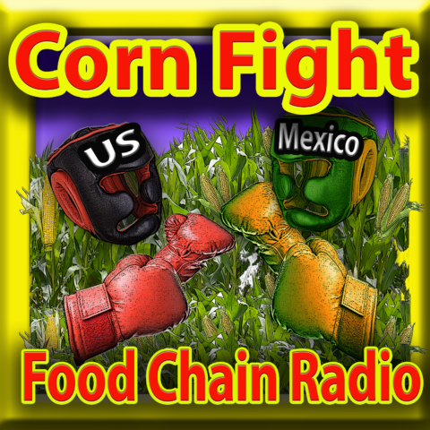 Michael Olson Food Chain Radio: Mexico’s Maize, GMOs & Glyphosate