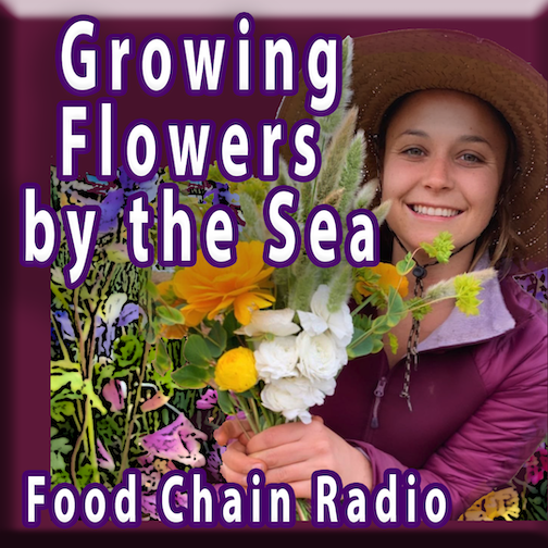 Michael Olson Food Chain Radio – Growing Flowers by the Sea for the Table at the Farmers Market