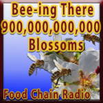 Michael Olson Food Chain Radio – Bee-ing There For 900,000,000,000 Blossoms