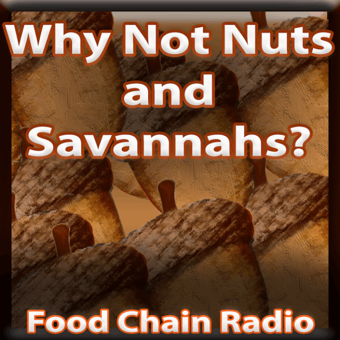 Michael Olson – Food Chain Radio: Why Not Nuts and Savannahs? If we can reclaim savannas, can we also build a food chain on trees and nuts?
