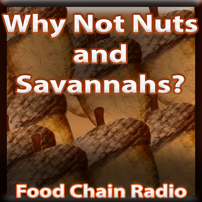 Michael Olson – Food Chain Radio: Why Not Nuts and Savannahs? If we can reclaim savannas, can we also build a food chain on trees and nuts?