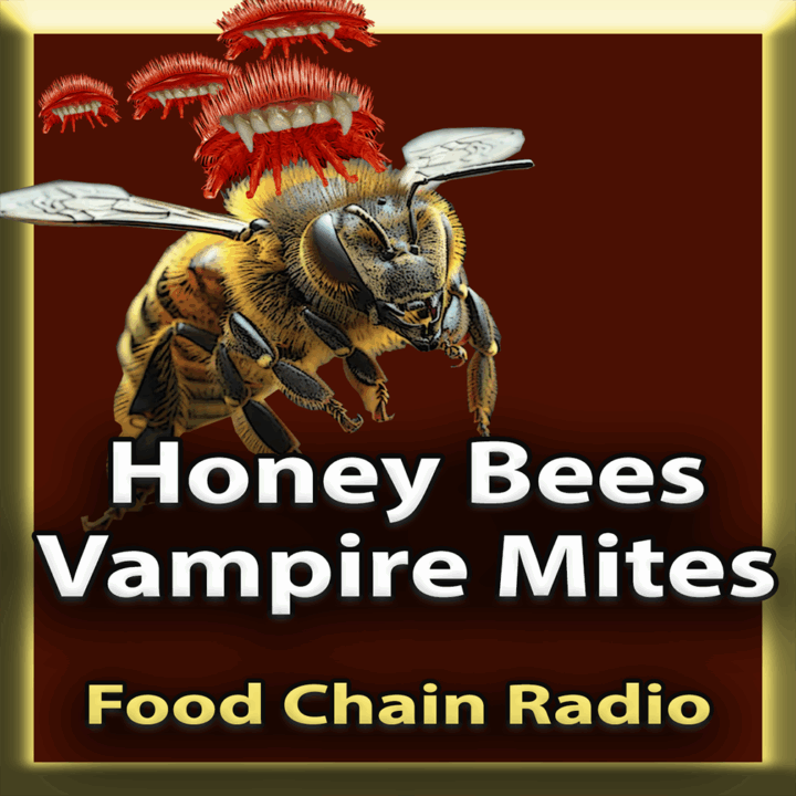 Michael Olson Food Chain Radio – Honey Bees v. Vampire Mites