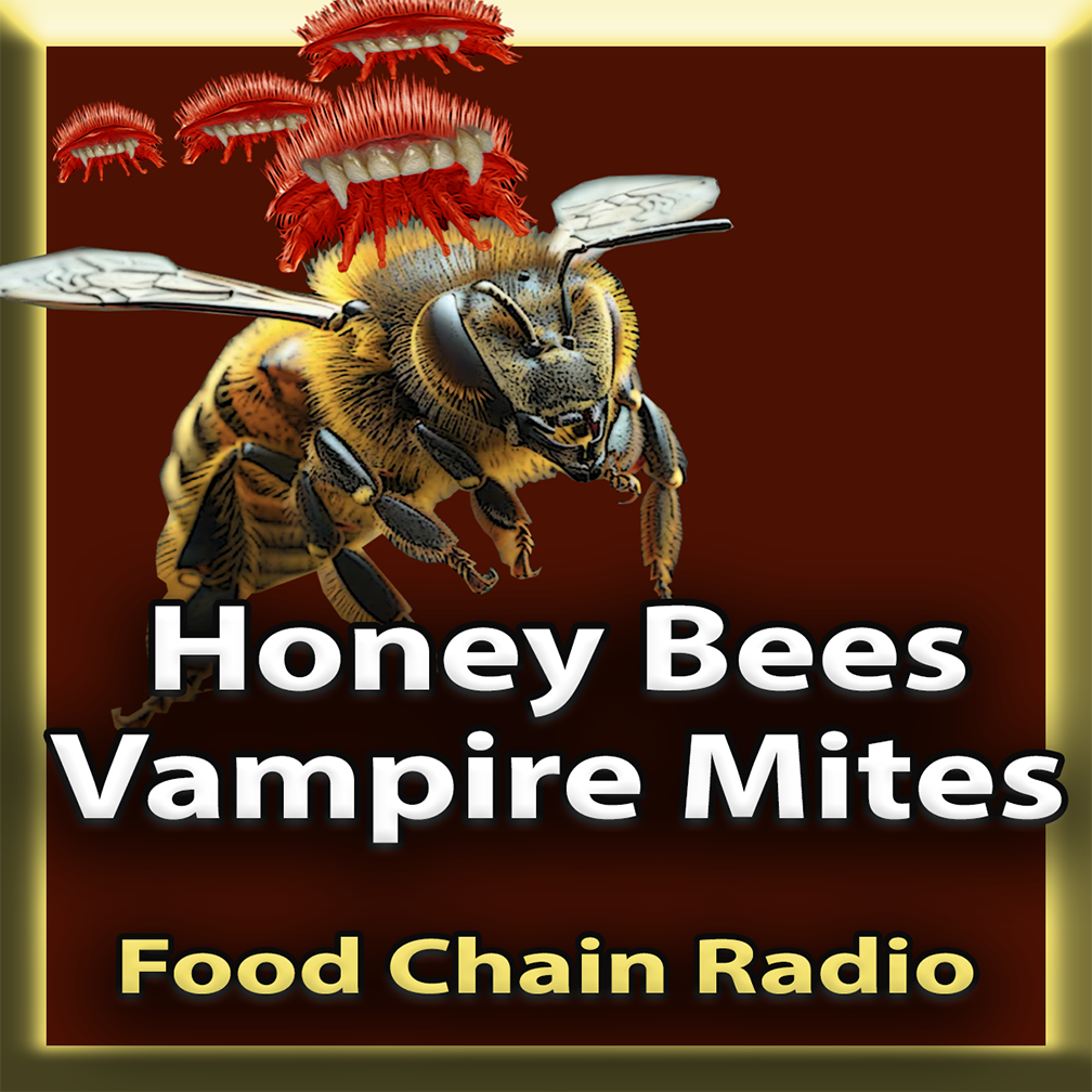 Michael Olson Food Chain Radio – Honey Bees v. Vampire Mites