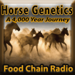 Michael Olson Food Chain Radio – Horse Genetics & 4,000 Years