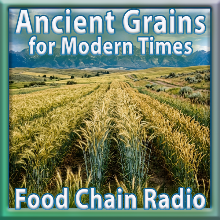 Michael Olson Food Chain Radio – Ancient Grains for Modern Times
