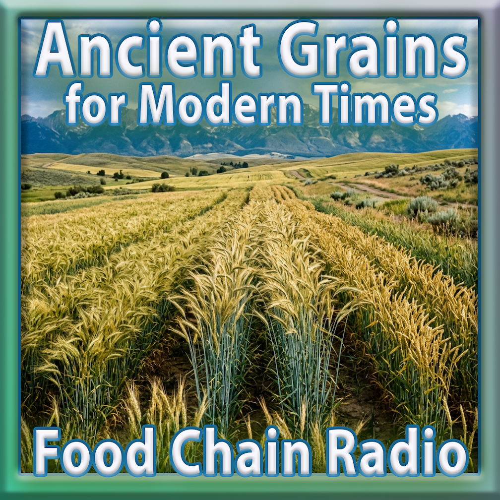 Michael Olson Food Chain Radio – Ancient Grains for Modern Times